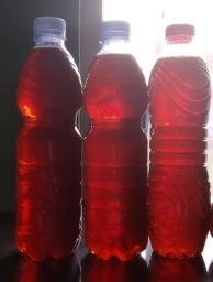 Madu Waluh Asli