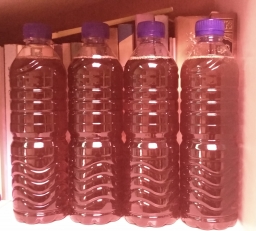 Madu Asli dari sari bunga pohon Sono Keling 